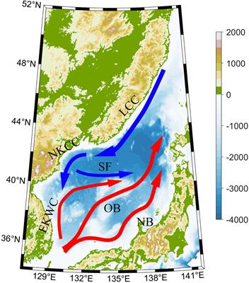Composite vertical structures and spatiotemporal characteristics of abnormal eddies in the Japan/East Sea: a synergistic investigation using satellite altimetry and Argo profiles